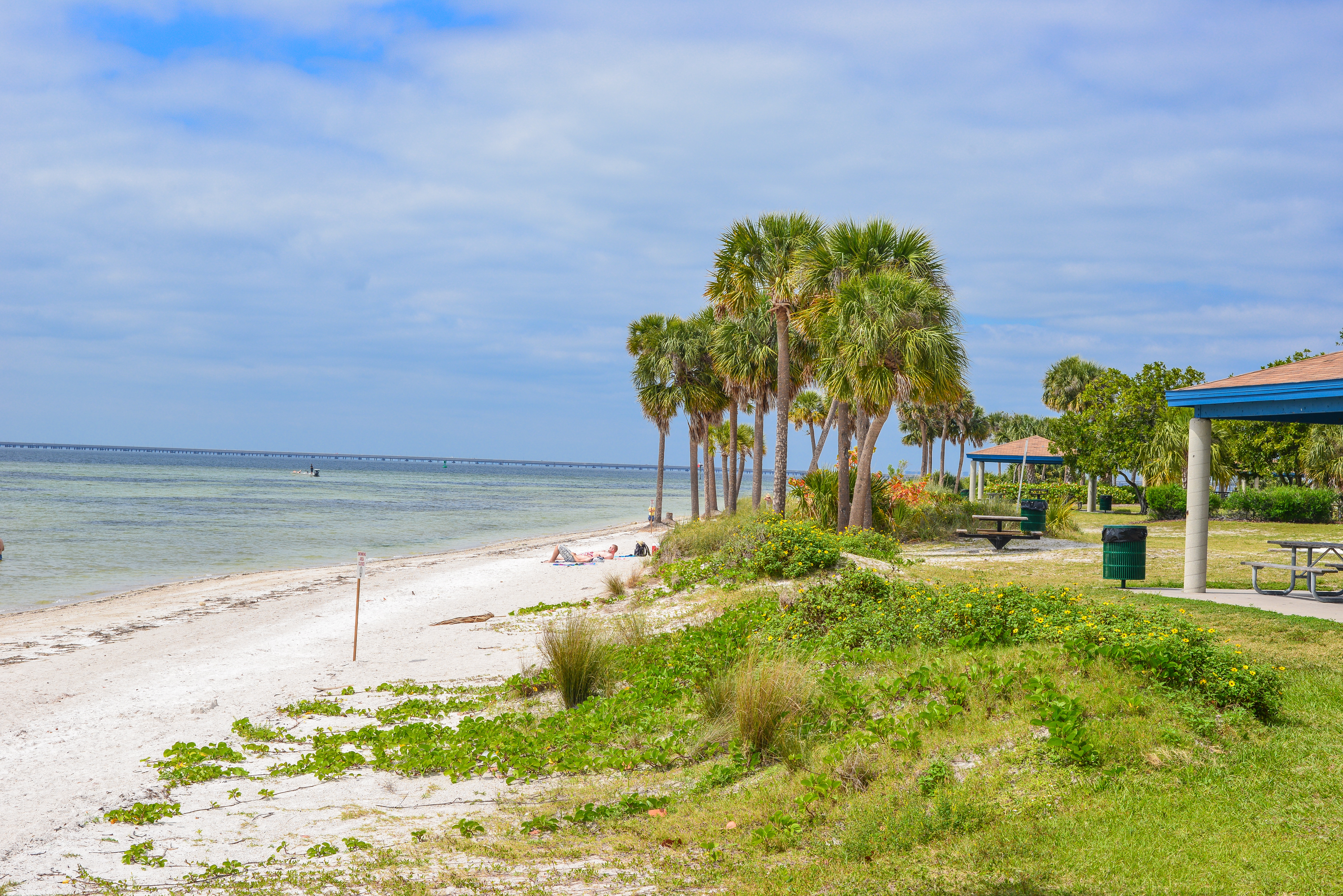 Port Tampa, Tampa Real Estate Homes & Condos For Sale Homes for Sale